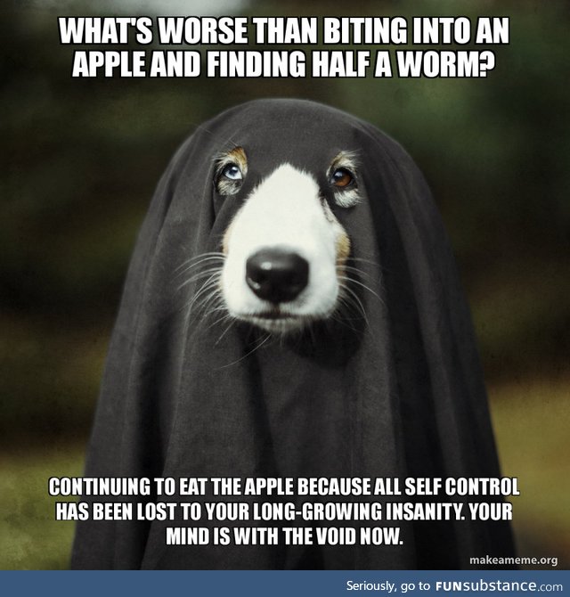 Pre-holloween Spoopy Dog