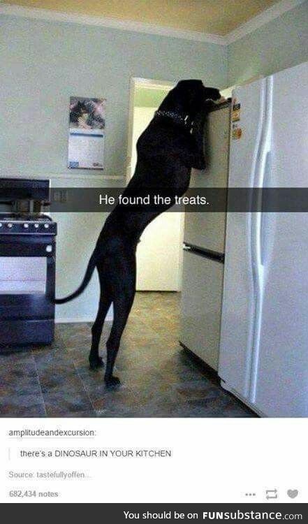 He found the treats