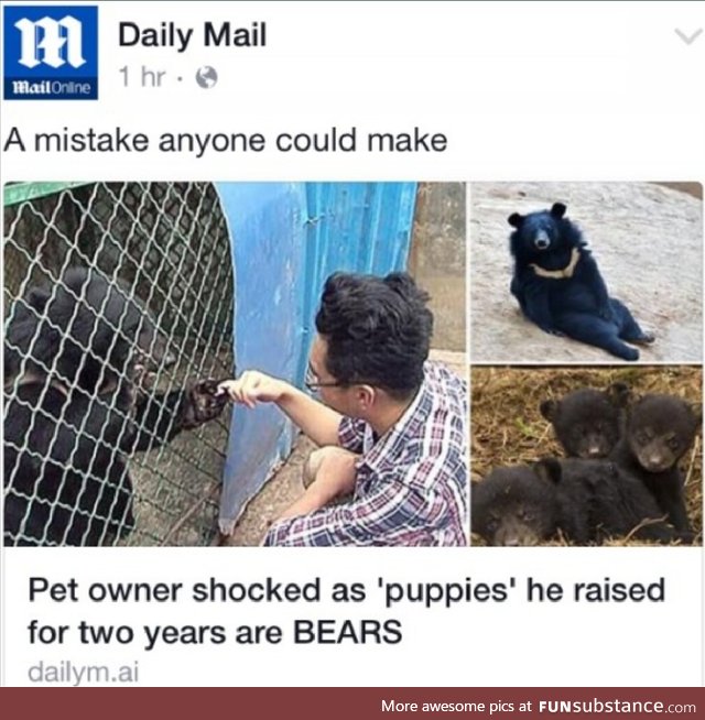 Bears are just bigger dogs