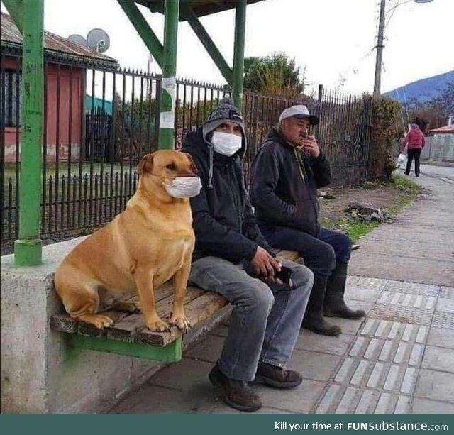 There's always an animal that doesn't understand