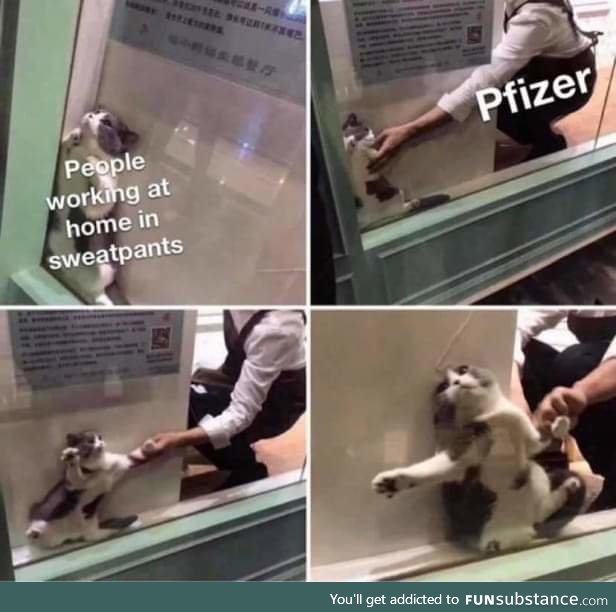 Good news, everyone!