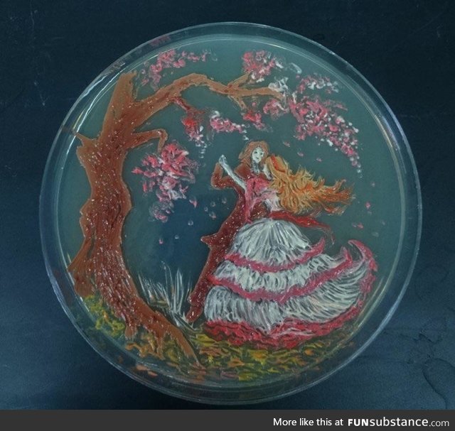 Petri dish bacterial art