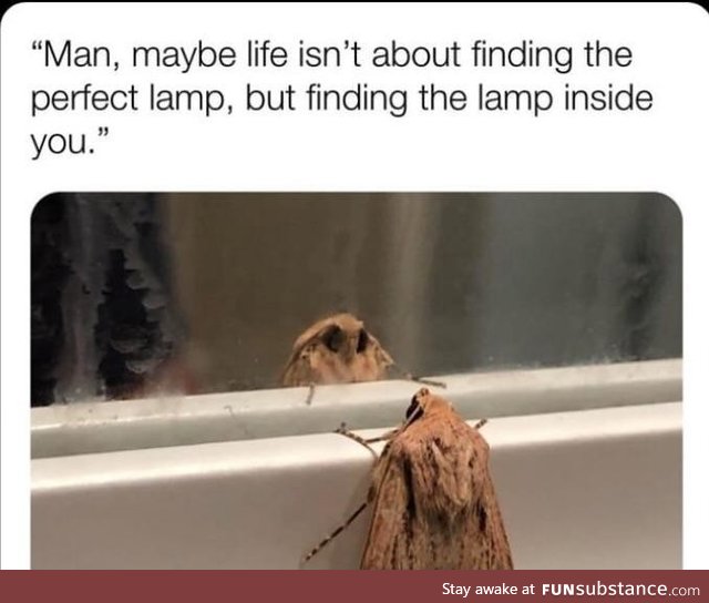 Light the fire inside ya self, Moth Boy