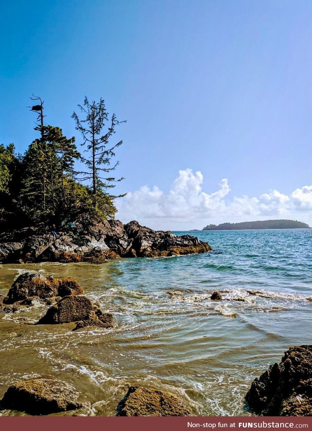 Tofino - vancouver island, canada