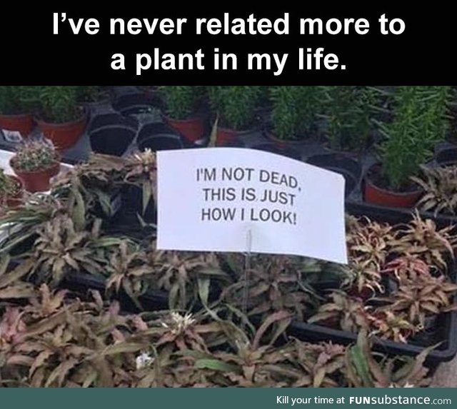 Pretty sure that's just a pic of me  (Relating to a plant)