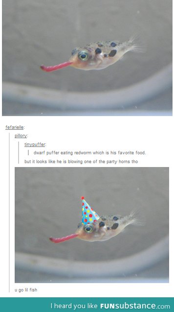 Party puffer