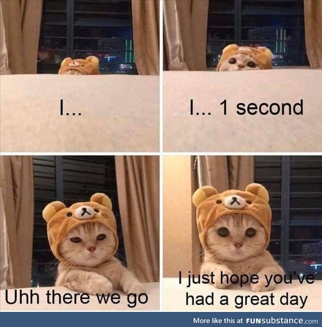 Have a great day