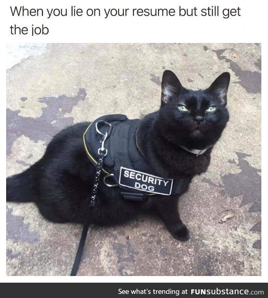 Do you feel secure yet?