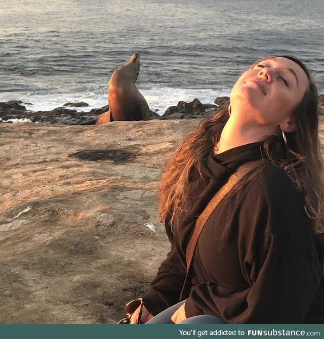 Sometimes you just need to sit in the sun and look fabulous. This sea lion gets it