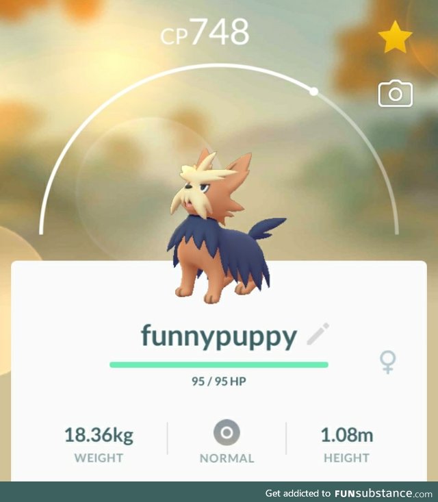 PoGo Project #92 - Hilarious Smol Doggo