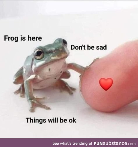 Froggo Fun #323 - Some Monday Motivation for You All
