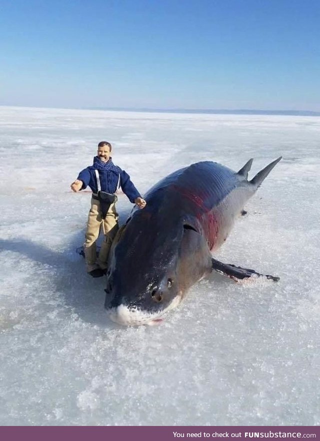 When fishing, always bring an action figure