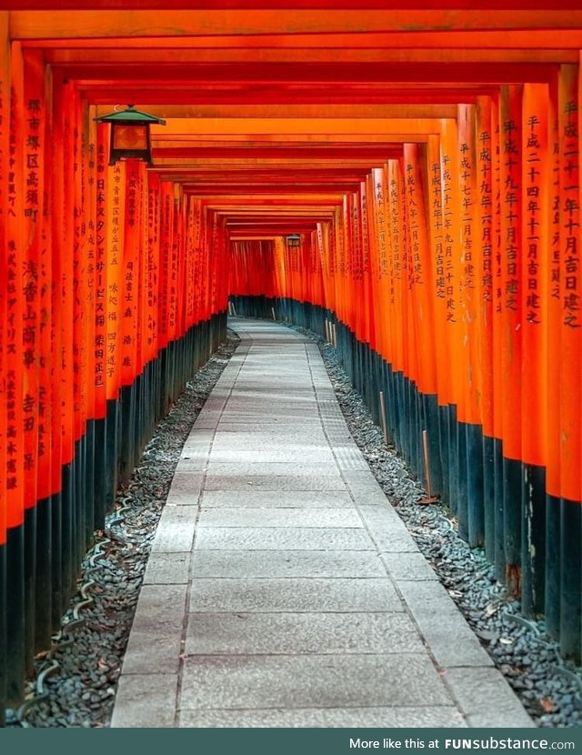Tori gates at the Fushimi Inari shrine, ????????