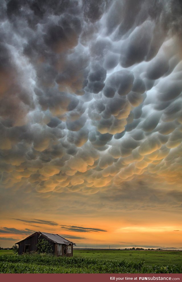 Mammatus clouds at sunset over parts of Texas