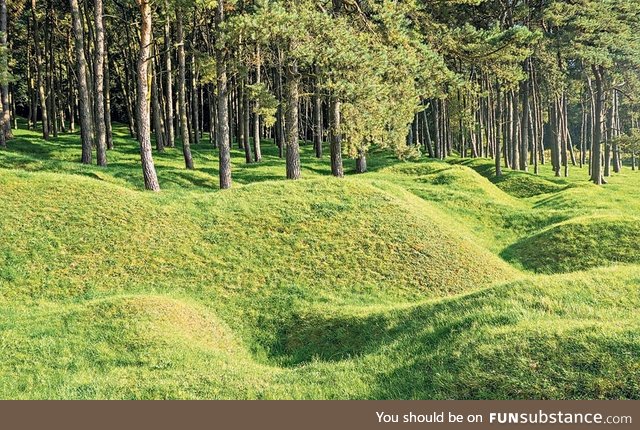 War trenches in a forest after 100 years