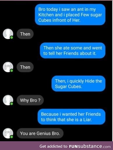 You sit on an ant hill of lies!