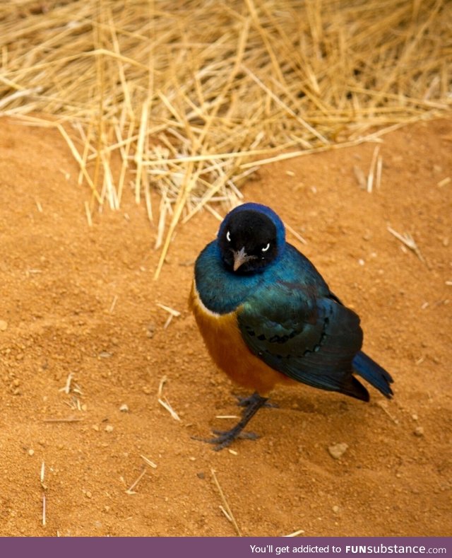 Someone is mad because I took a picture