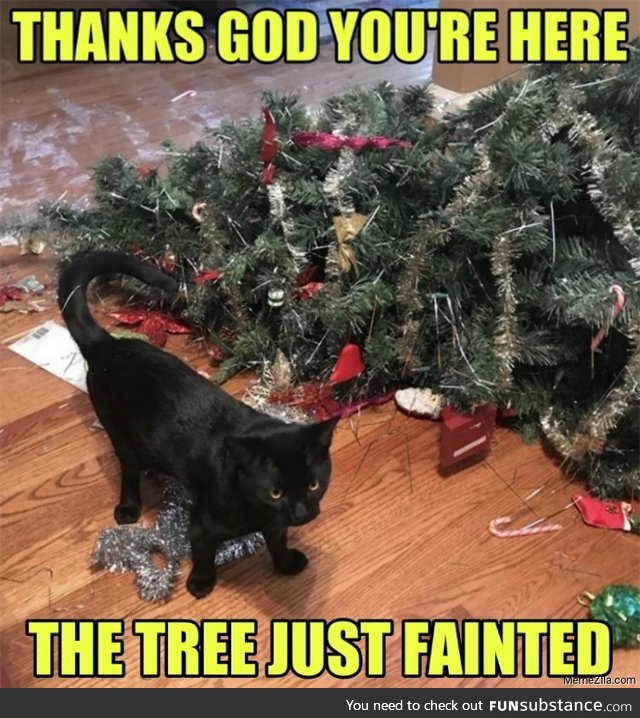 The Christmas Tree fainted