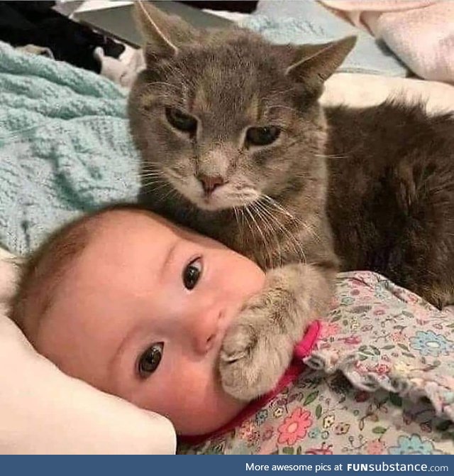 “Silence, small human. Your wails are unsettling.”