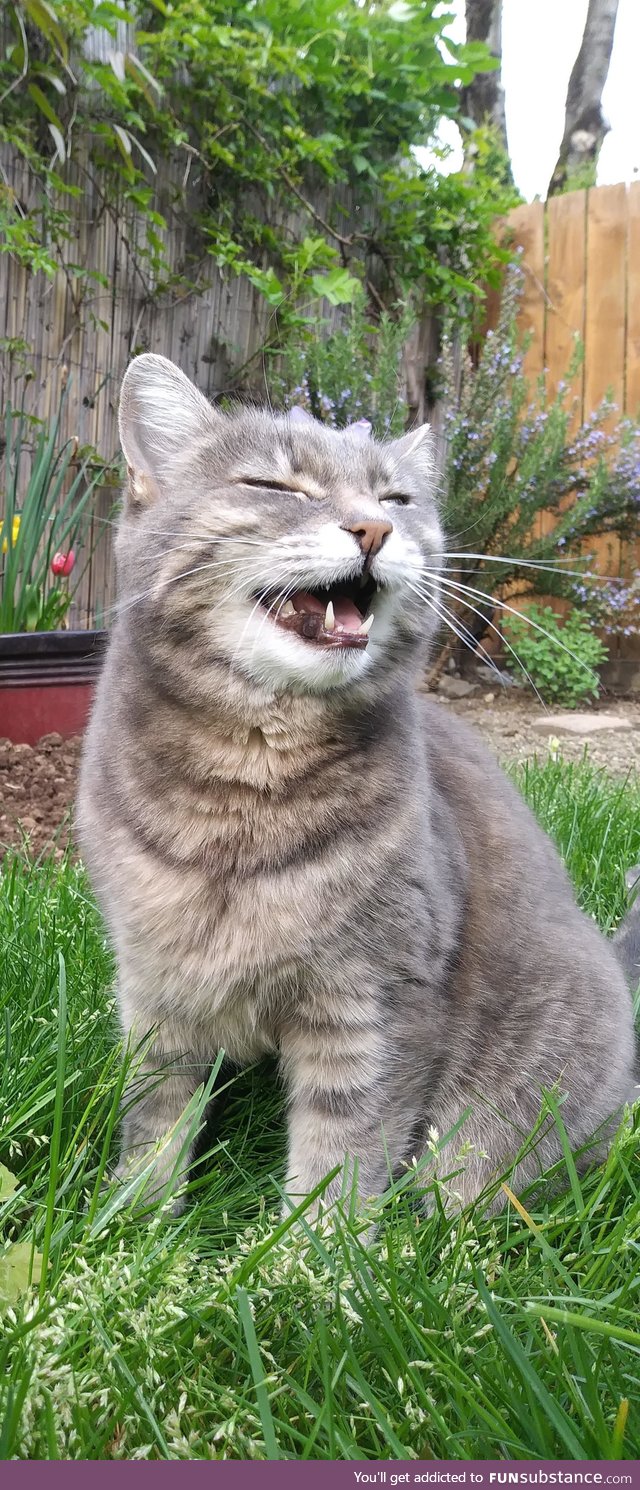 My first post, so here is a picture of this cute bundle of joy that I took today