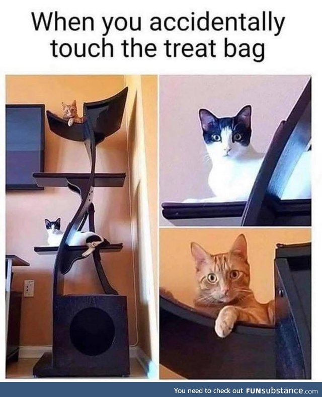 Ha !