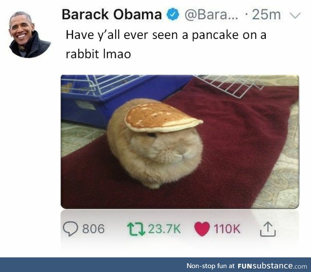 Pancake on a Rabbit