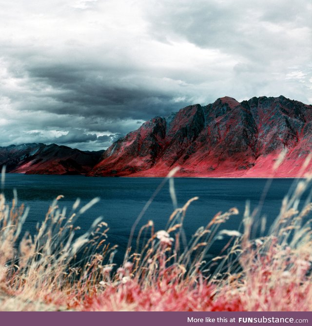 New Zealand if you could see infrared light. (Photo taken using infrared film)