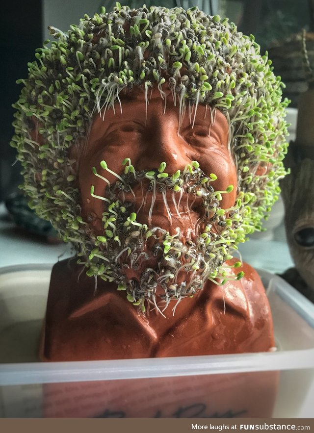 I have a chia Bob Ross and he is...Terrifying