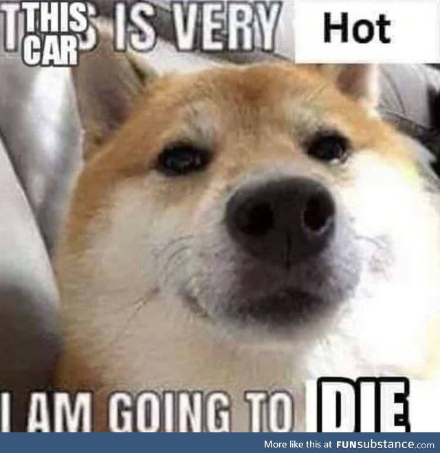 No dog don't die your too hot haha