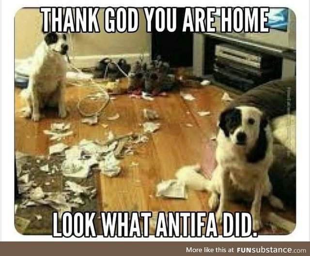 Dogs on Parler