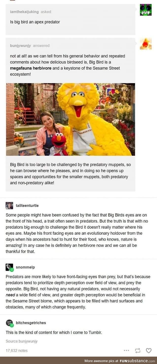 Big bird - a biological assessment