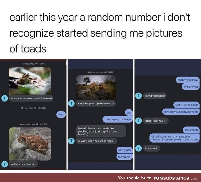 You’ve been subscribed to toad facts
