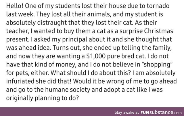 The gato must be AKC registered and have excellent lines