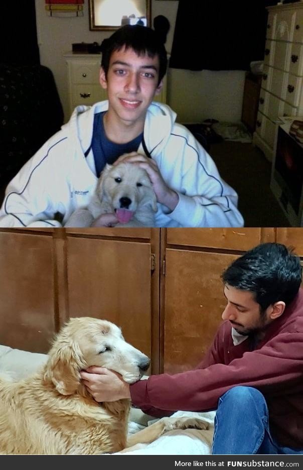 My good boy crossed the rainbow bridge today. We spent almost 13 years together