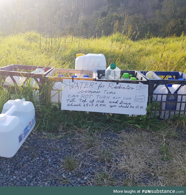Saw this halfway up a big hill in rural NSW Australia