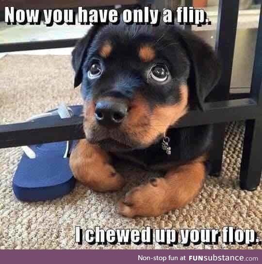 Well I'm not even mad I lost my flop now.