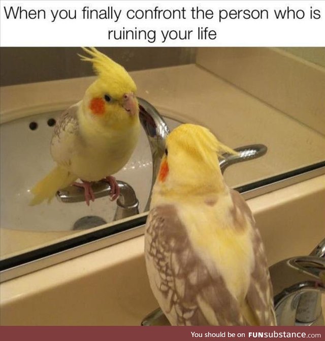 I'm looking at the man in the mirror