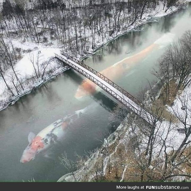 Fishing at Chernobyl