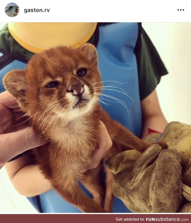A very special patient
