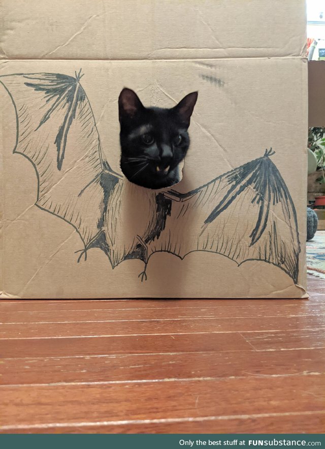 I am the night