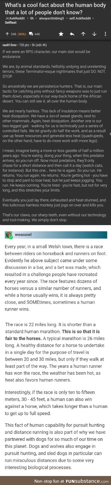 When we say we would walk 500 miles and then 500 more, it's not a promise - it's a threat