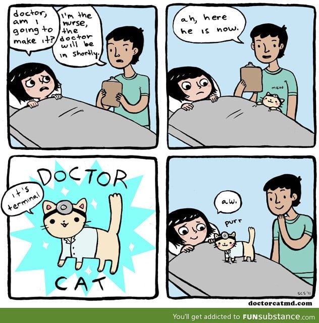 Doctor Cat