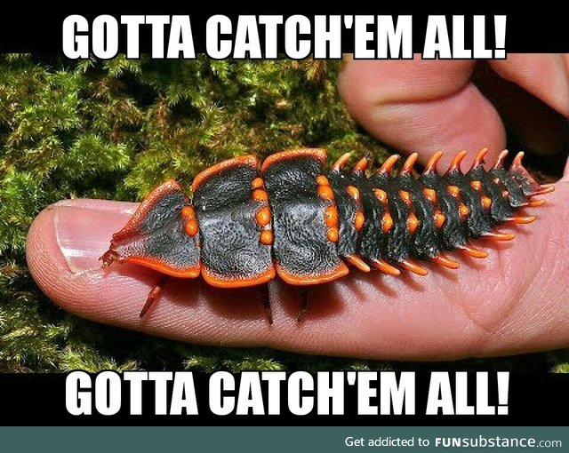 Throw a pokeball at it