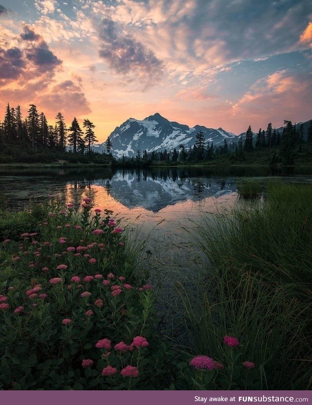 Lakeside view