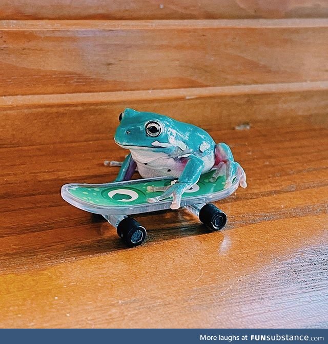 Froggo Fun #378 - Tony Frog's Pro Skater