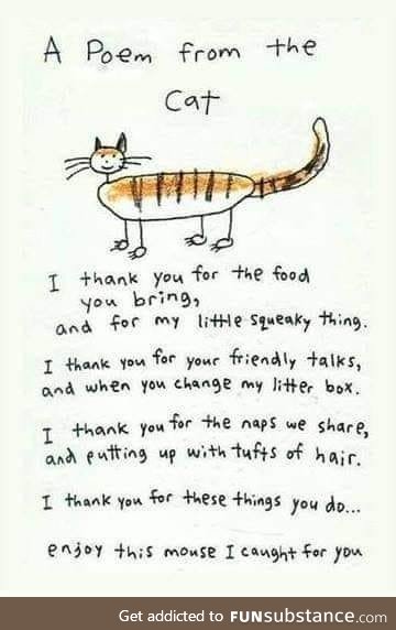They're not thankful