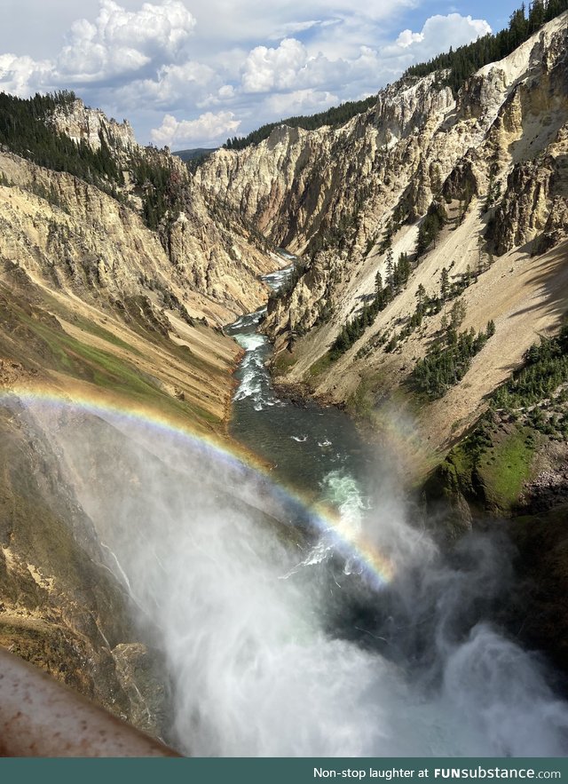 Canyon at Yellowstone national park!