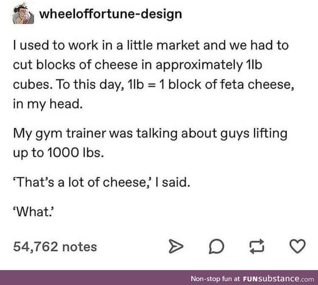 Cheese wheels on the brain
