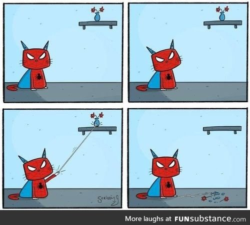 ???? Spidercat, Spidercat, does whatever spidercat does. ????