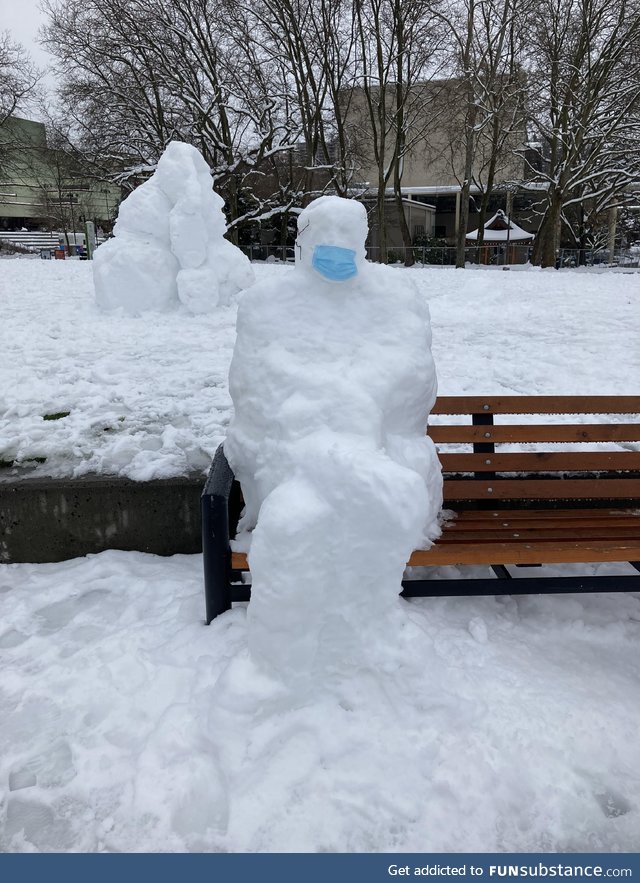 SnowBernie spotted in Seattle